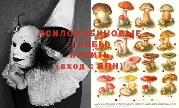 твердый Абинск